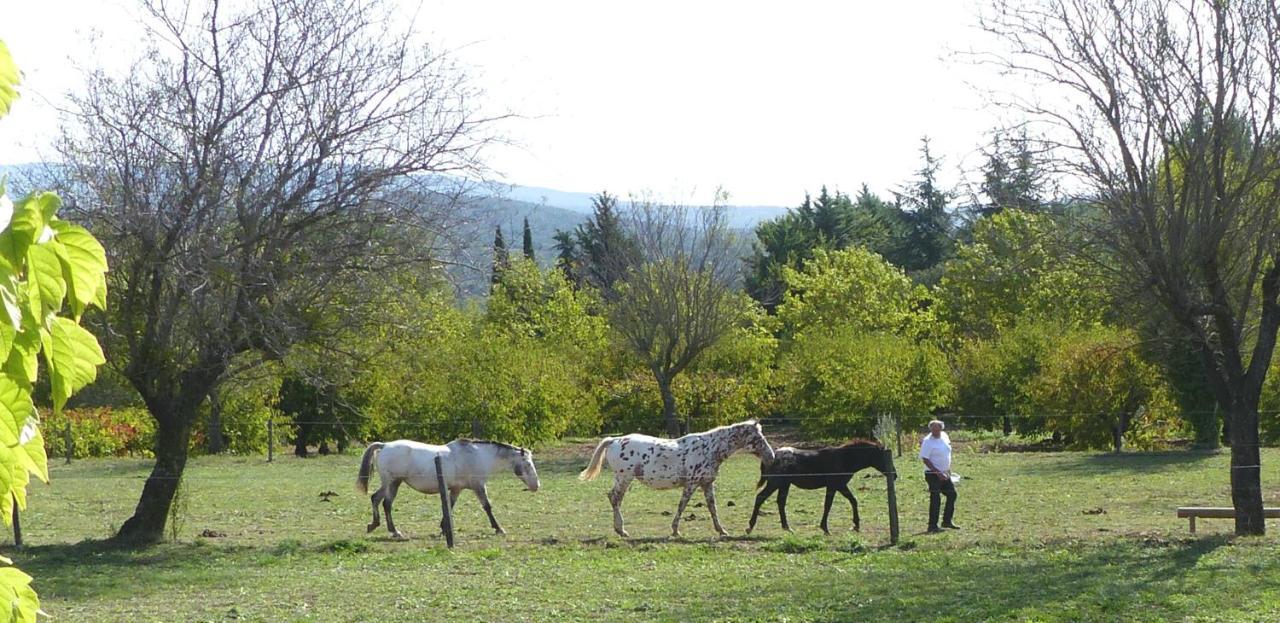 La Petite Galejade Villa Горд Екстериор снимка